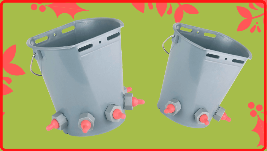 Binh-bu-sua-de-con-a-chau