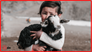 Ky-thuat-chan-nuoi-de-con-a-chau