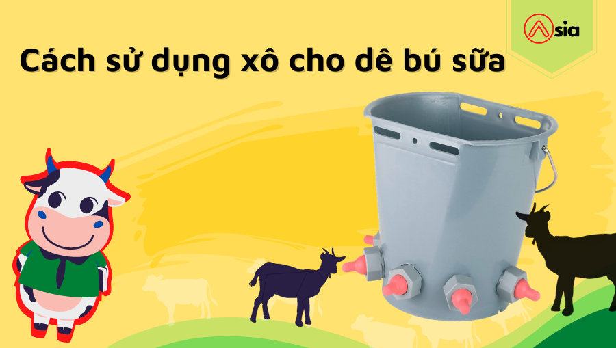 Cach-su-dung-xo-cho-de-bu-sua