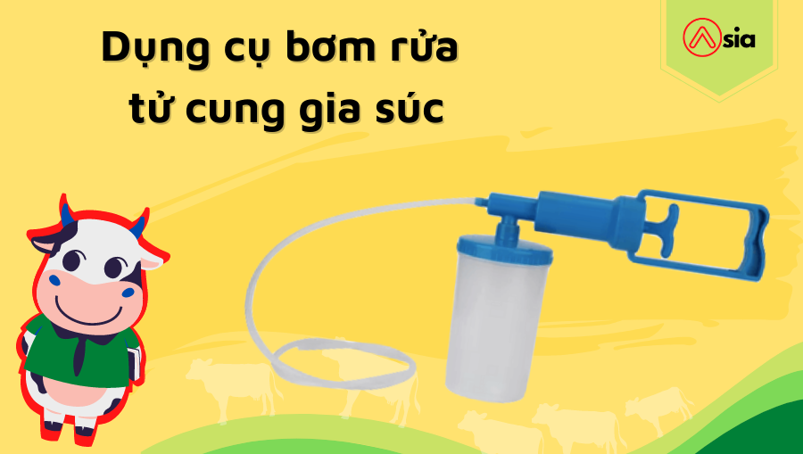 Dung-cu-bom-rua-tu-cung-gia-suc