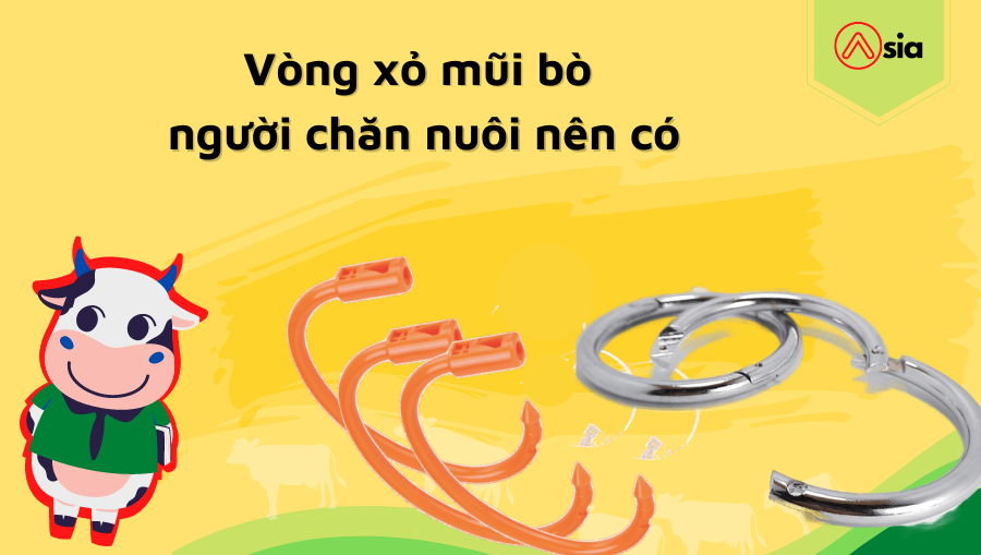 Vong-xo-mui-bo-nguoi-chan-nuoi-nen-co