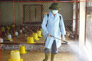 Phun-thuoc-khu-trung-chuong-trai