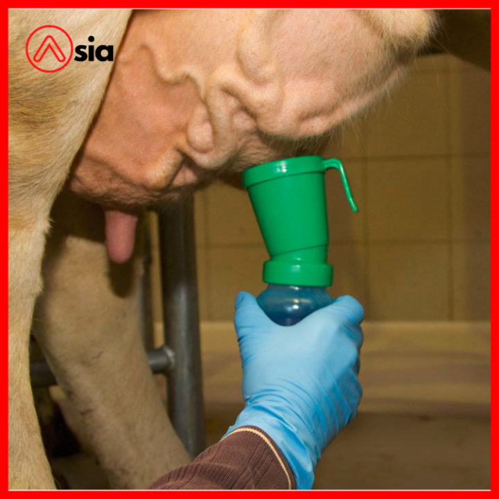 Coc-nhung-sat-trung-vu-bo-duc-0972502979