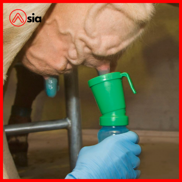 Coc-nhung-sat-trung-vu-bo-duc-0972502979..