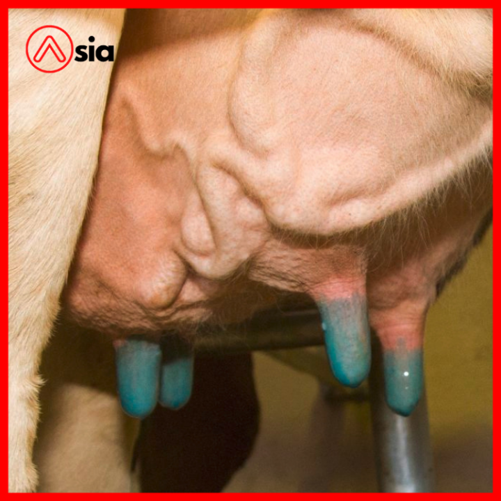 Coc-nhung-sat-trung-vu-bo-duc-0972502979...