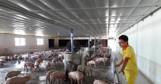 Bình Thuận Xây Dựng Chiến Lược Phát Triển Chăn Nuôi_6129f64e65906.jpeg