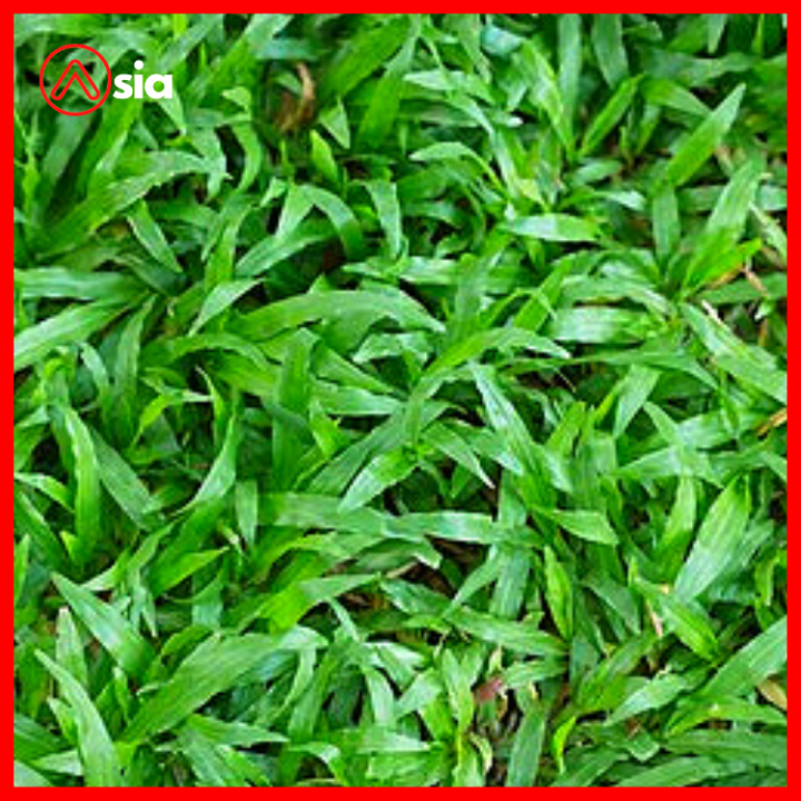 Co-la-tre-0972502979