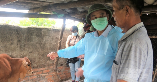 Nam Định Công Bố Hết Dịch Bệnh Viêm Da Nổi Cục_6129f580a79fc.jpeg