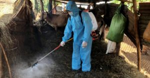 Gần 15 Ngàn Con Bò Khỏi Bệnh Viêm Da Nổi Cục_613b19f21f827.jpeg