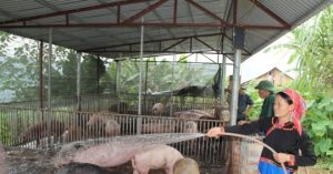 Huyện Vùng Sâu Phát Triển Mạnh Chăn Nuôi_6139c86054404.jpeg