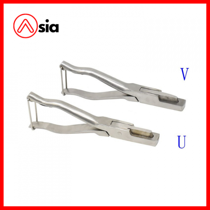 Kim_bam_ria_tai_heo_(kieu_chu_v)_pakistan_0972502979 (2)