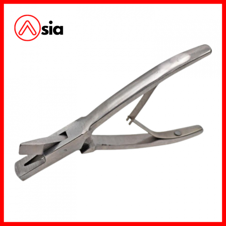 Kim_bam_ria_tai_heo_(kieu_chu_v)_pakistan_0972502979