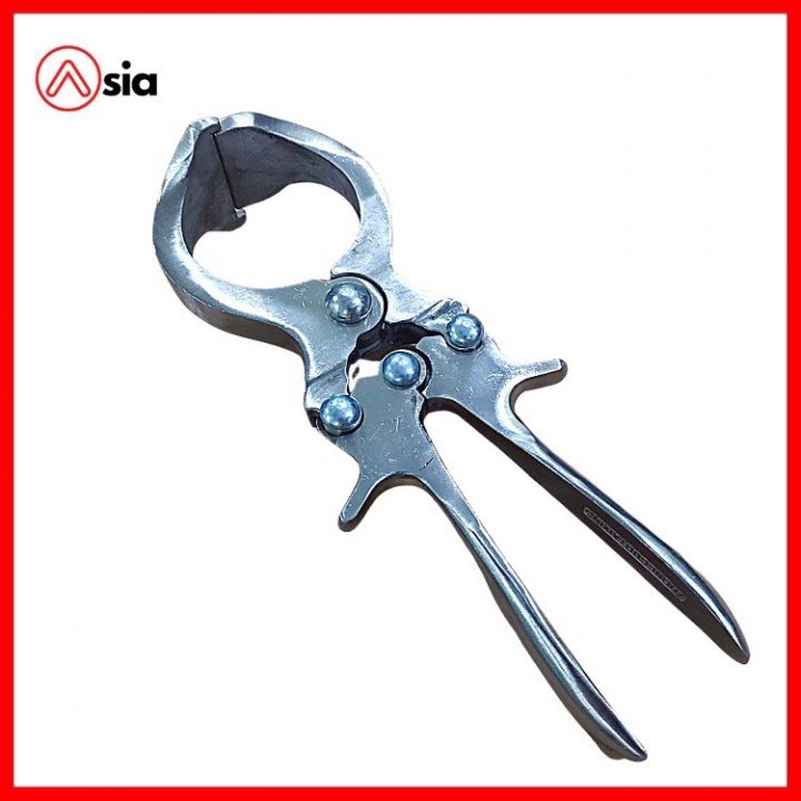 Kim_thien_gia_suc_loai_22cm_trung_quoc_0972502979..