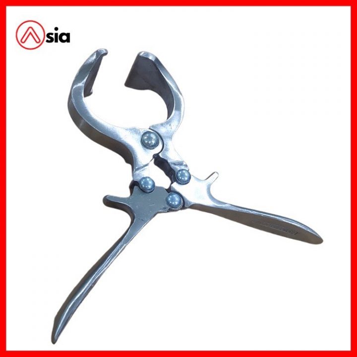 Kim_thien_gia_suc_loai_22cm_trung_quoc_0972502979.pt