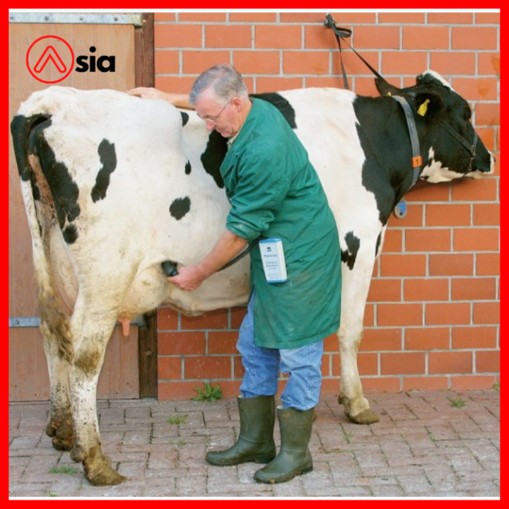 May_chuan_doan_thai_bo_model_hk1060_duc_0972502979 (3)