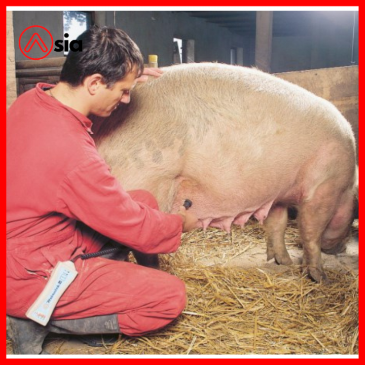 May_chuan_doan_thai_heo_hk_model_22130_duc_0972502979 (1)