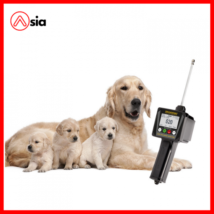 May_phat_hien_thoi_ky_rung_trung_cua_cho_draminski_dod2_0972502797 (1)