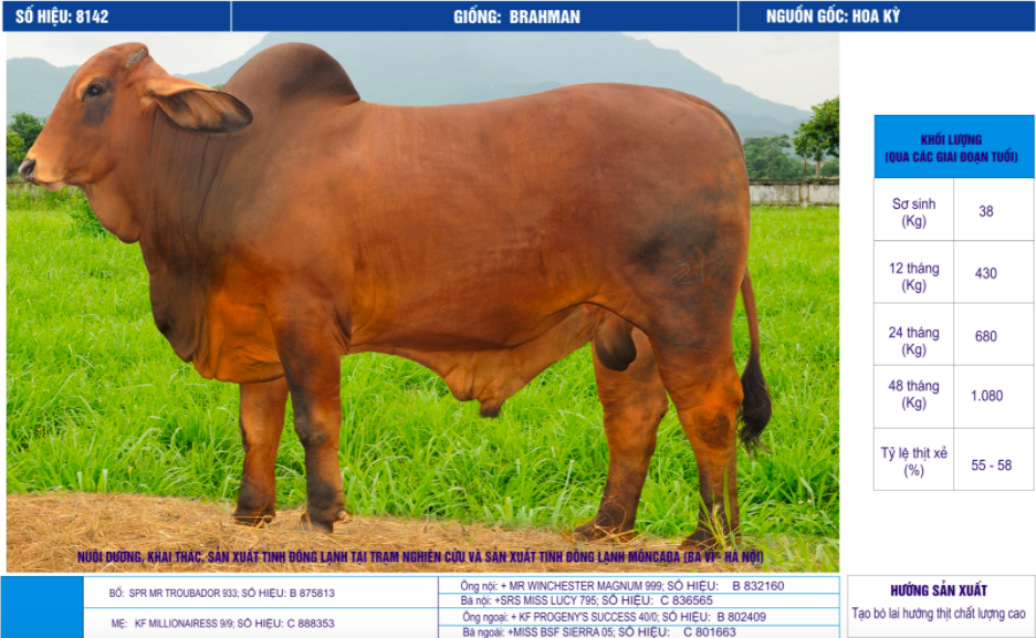 Tinh_bo_brahman_vinalica _8142_0972502797