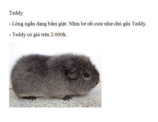 Teddy