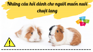 Thiết Kế Không Tên (17)