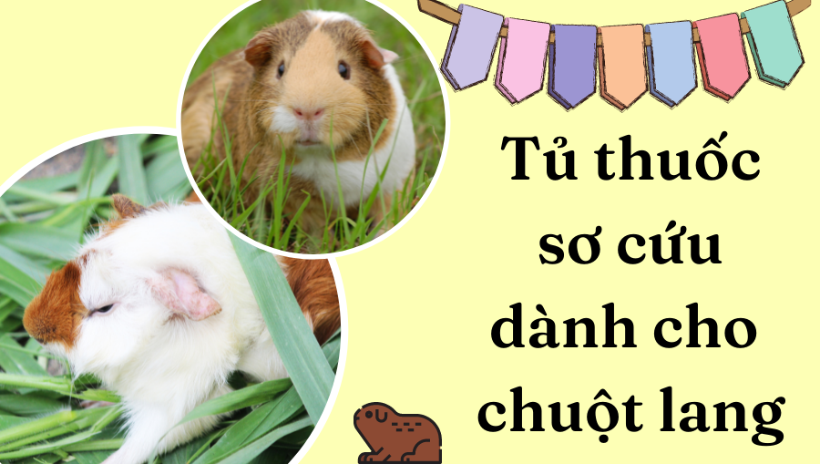 Thiết Kế Không Tên (20)