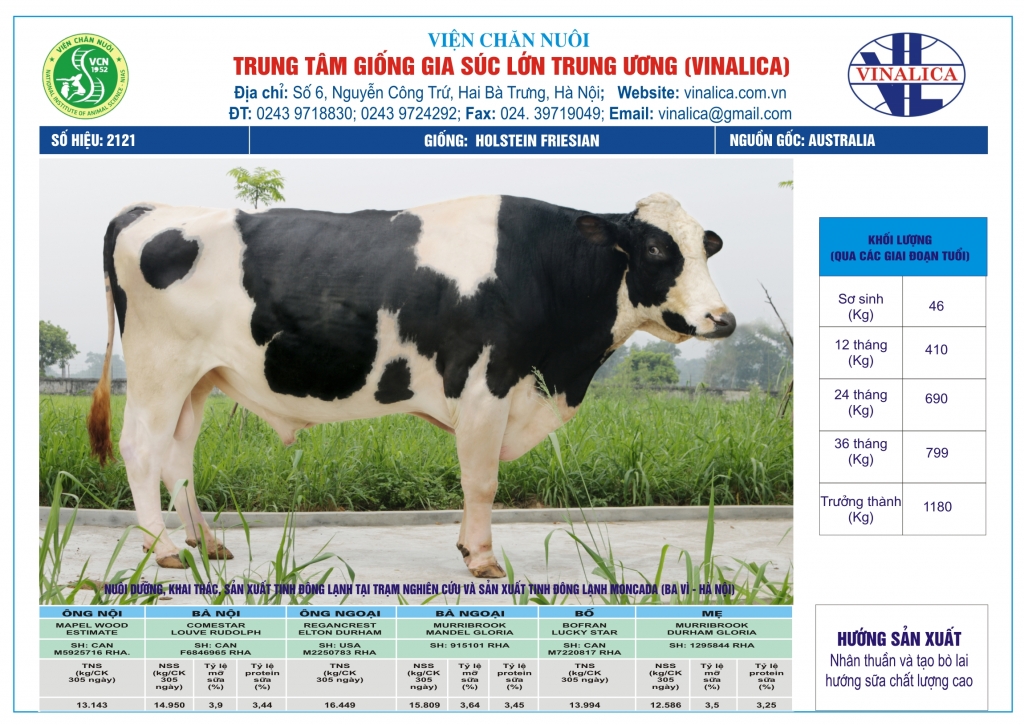 Tinh_bo_hf_2121_0972502797