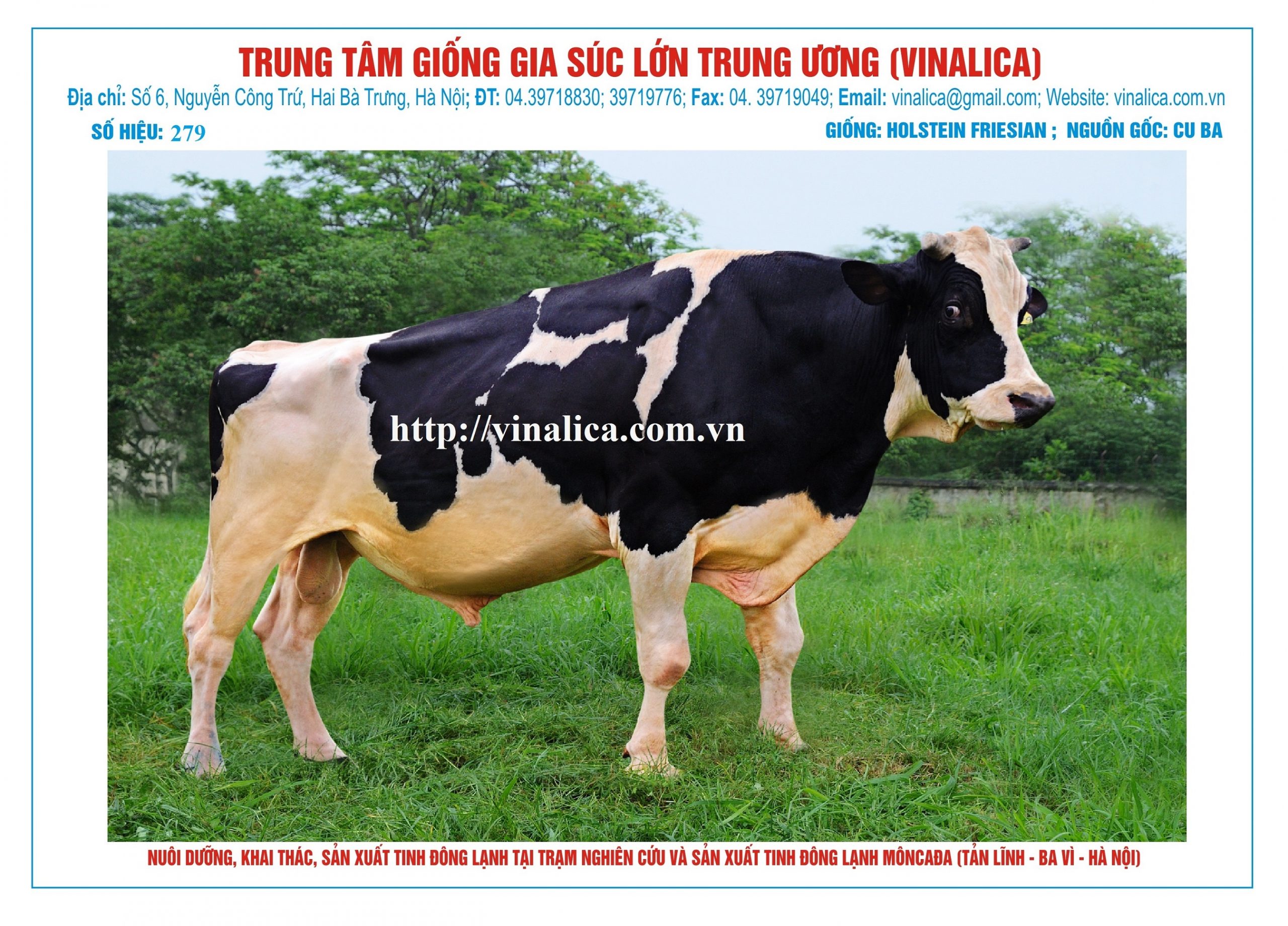 Tinh_bo_hf_279_0972502797