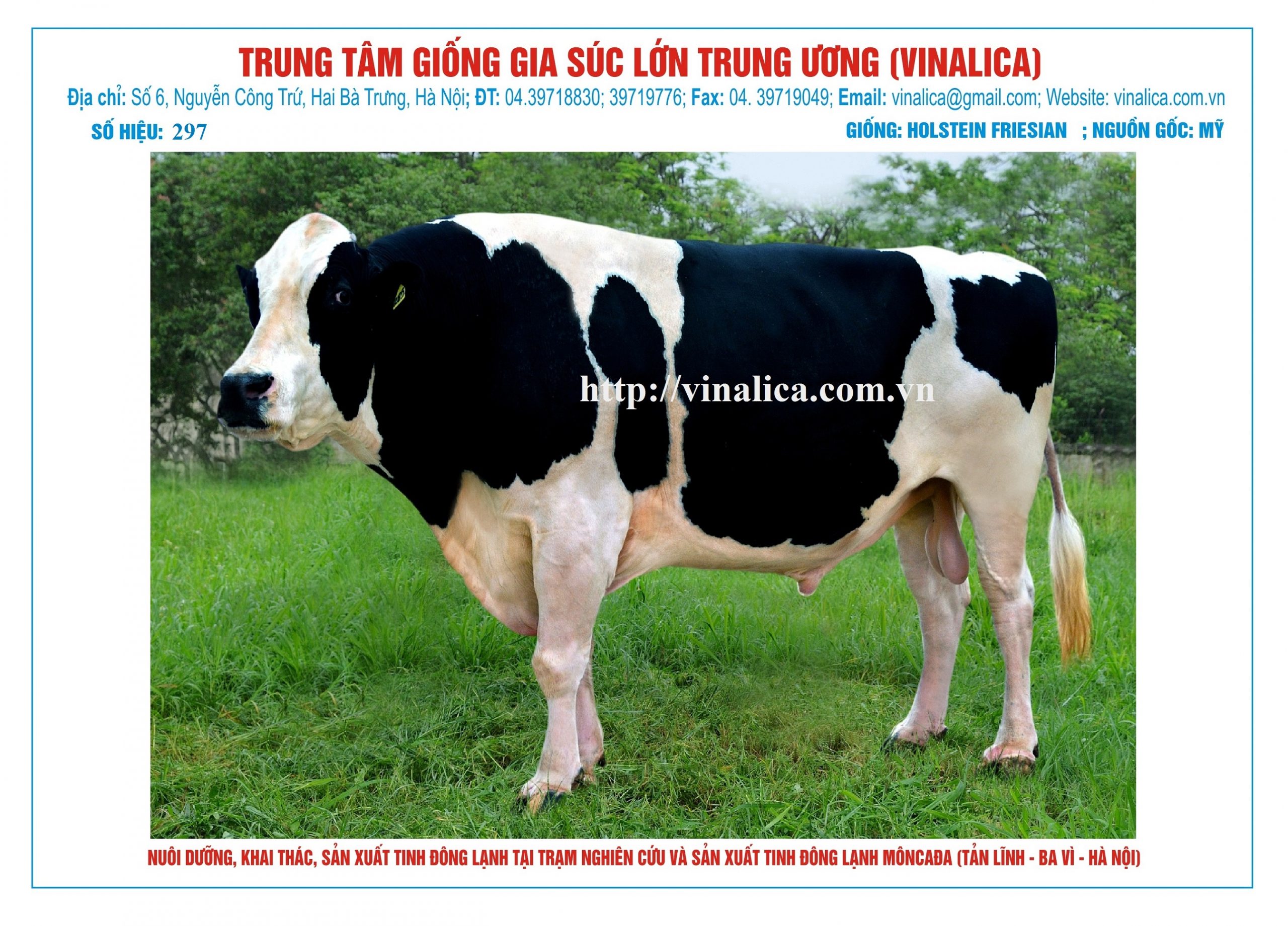 Tinh_bo_hf_297_0972502797