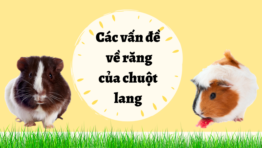 Thiết Kế Không Tên (30)