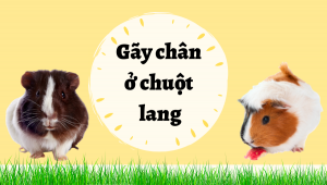 Thiết Kế Không Tên (32)