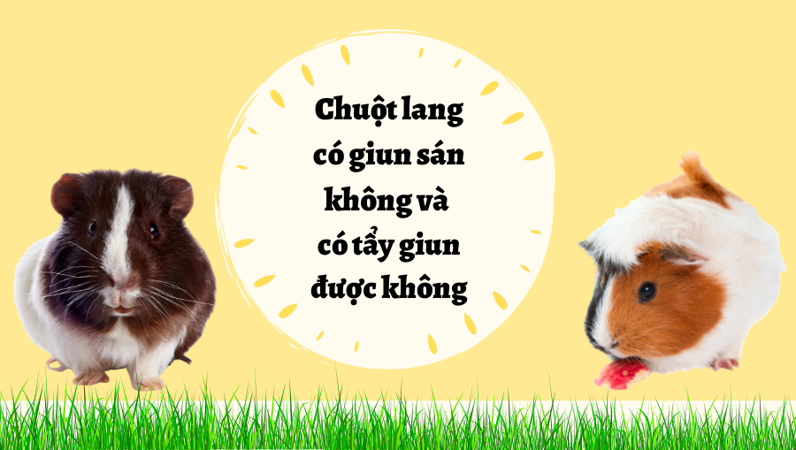 Thiết Kế Không Tên (33)