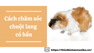 Thiết Kế Không Tên (45)