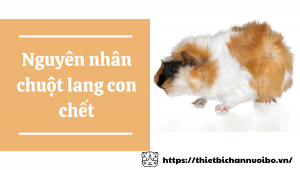 Thiết Kế Không Tên (46)