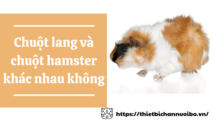 Thiết Kế Không Tên (48)