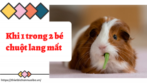 Thiết Kế Không Tên (54)