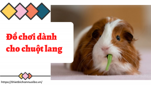 Thiết Kế Không Tên (56)