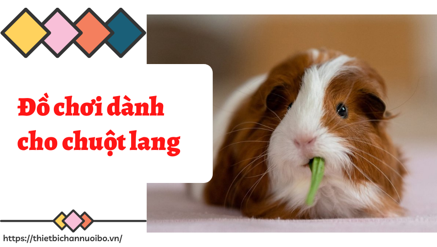 Thiết Kế Không Tên (56)