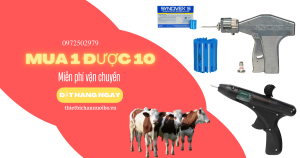 Mua Súng Cấy Tai Bò Tặng 10 Liều Synovex