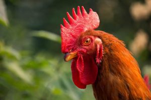 Photo-1641434597713-16414346004641337056553