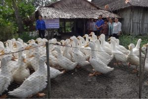 665x448_17-49-16_nuoi-vit