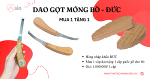 Dao_got_mong_bo_0972502979.1