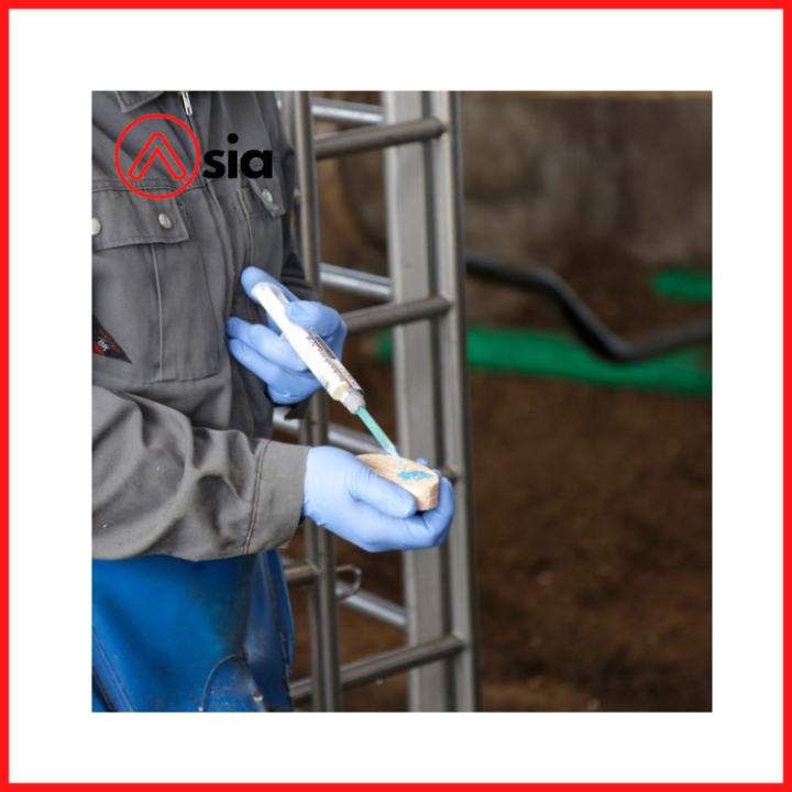 Keo_dan_mong_0972502979_chan_nuoi_bo_achau (1)