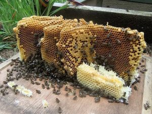 Sap-ong-ba-lao-phep-thuat-cho-lan-da-mem-mai-ly-tuong-2(1)