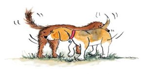 Tai-sao-cho-thich-ngui-mong-cua-nhau6