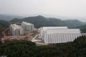 Tại Sao Nên Xây Dựng Mô Hình Chăn Nuôi Heo Nhiều Tầng_công Ty Á Châu_0972502979