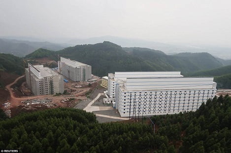 Tại Sao Nên Xây Dựng Mô Hình Chăn Nuôi Heo Nhiều Tầng_công Ty Á Châu_0972502979