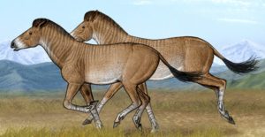 Biến đổi Khí Hậu Tác động Tới Sự đa Dạng Của Loài Ngựa_ Công Ty Á Châu_ 0972502979