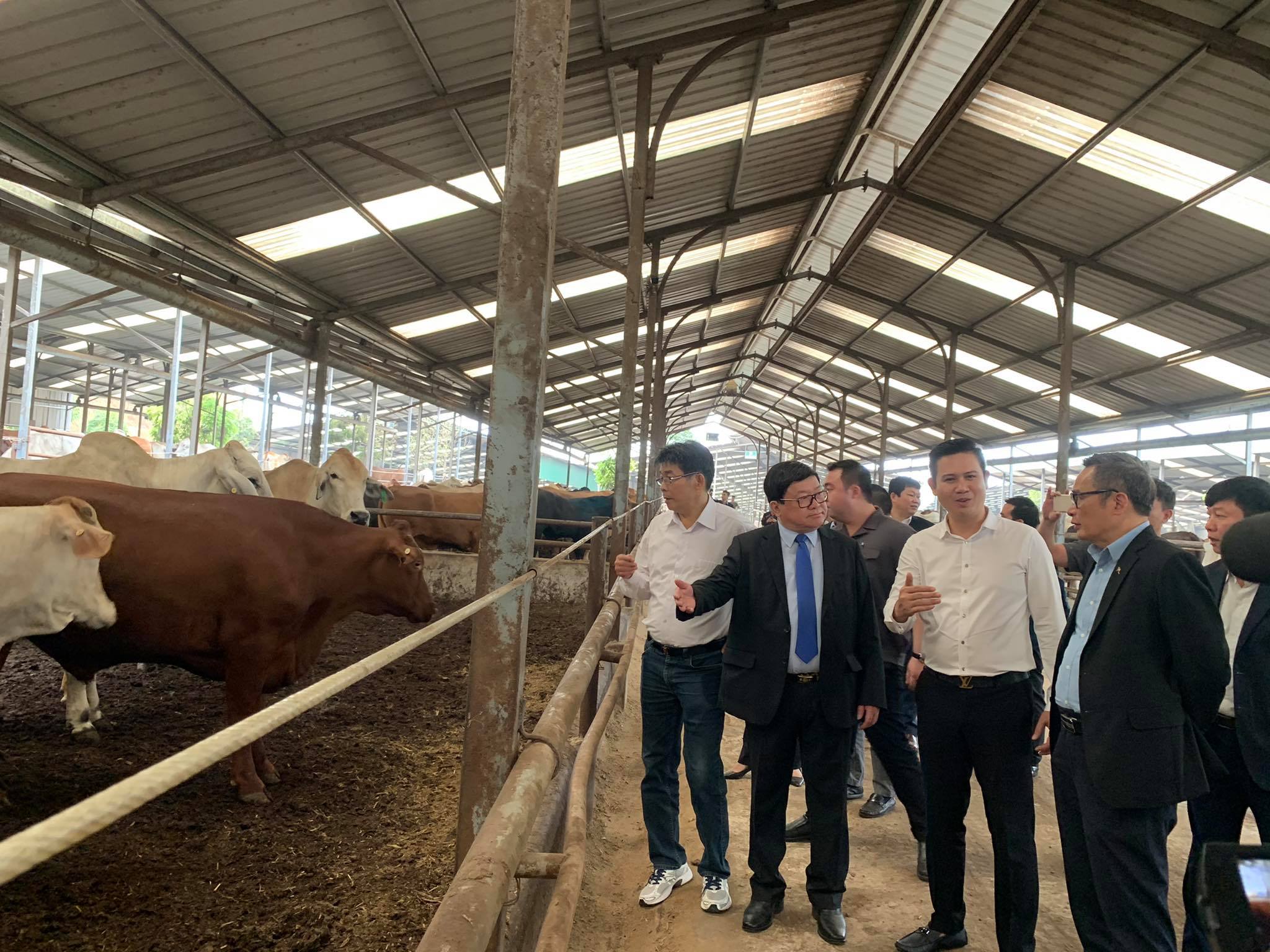 Chăn Nuôi Tuần Hoàn Khép Kín, Tiết Kiệm 50 - 60% Chi Phí_ Công Ty Á Châu_ 0972502979