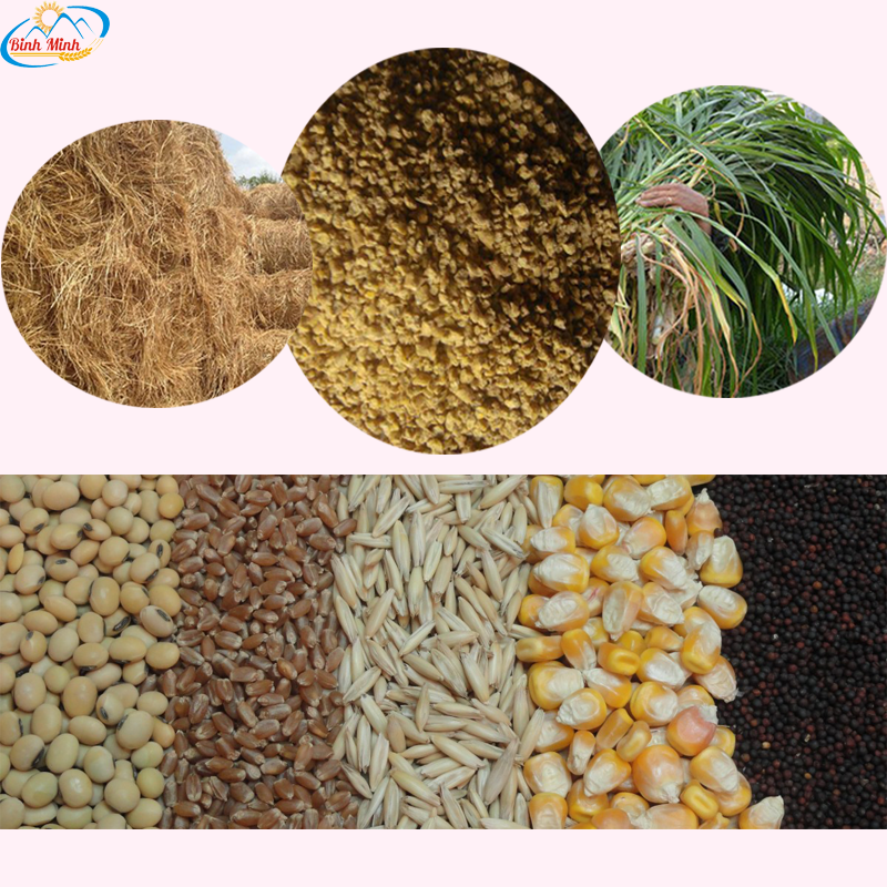 Xu Hướng Dinh Dưỡng động Vật_ Công Ty Á Châu_ 0972502979