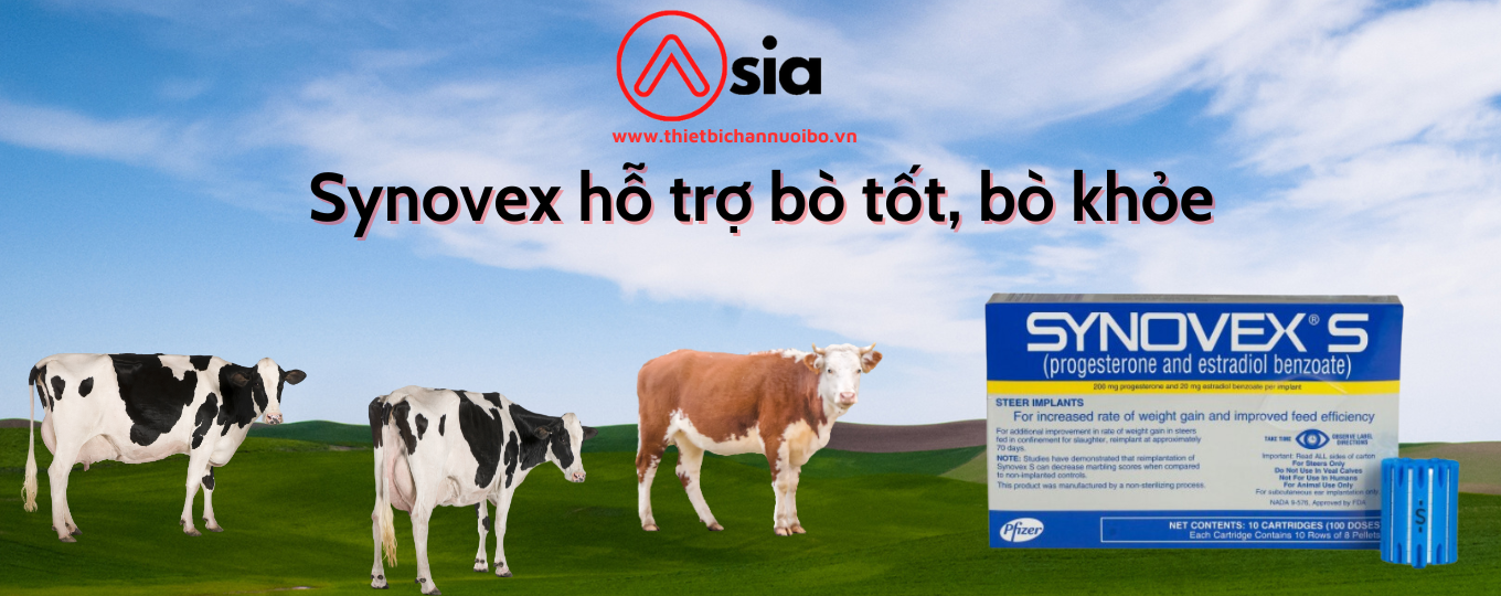 Thiết Kế Chưa Có Tên (3)